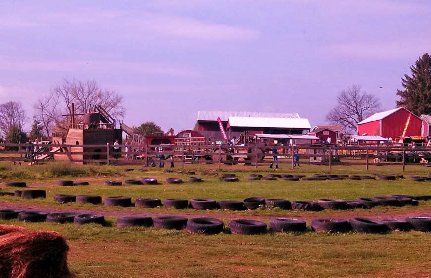 IMG_20141025_122343_296